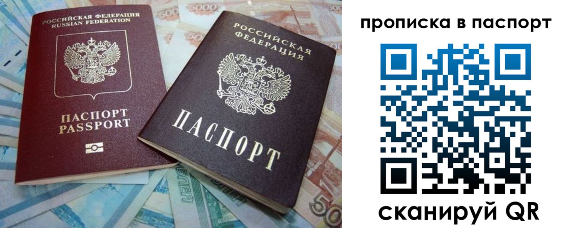 прописка поиск в Кольчугино